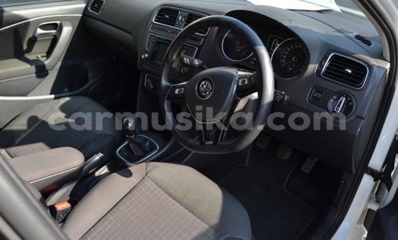 Acheter Occasion Voiture Volkswagen Polo Blanc à Beitbridge, Matabeleland South Acheter Occasion Voiture Volkswagen Polo Blanc à Beitbridge, Matabeleland South