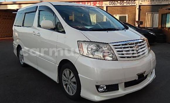 Tenga Tsaru Toyota Alphard Chena Mota in Beitbridge in Matabeleland South
