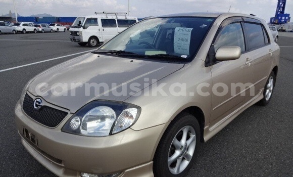 Tenga Tsaru Toyota Runx Beige Mota in Beitbridge in Matabeleland South