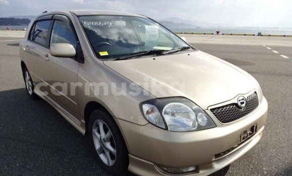 Acheter Occasion Voiture Toyota Runx Beige à Beitbridge, Matabeleland South Acheter Occasion Voiture Toyota Runx Beige à Beitbridge, Matabeleland South