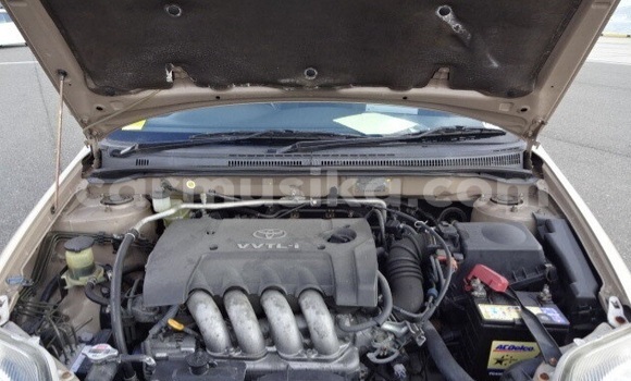 Acheter Occasion Voiture Toyota Runx Beige à Beitbridge, Matabeleland South Acheter Occasion Voiture Toyota Runx Beige à Beitbridge, Matabeleland South