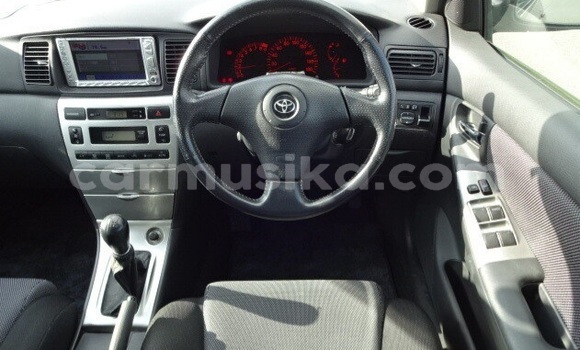 Acheter Occasion Voiture Toyota Runx Beige à Beitbridge, Matabeleland South Acheter Occasion Voiture Toyota Runx Beige à Beitbridge, Matabeleland South