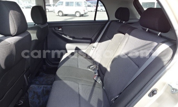 Acheter Occasion Voiture Toyota Runx Beige à Beitbridge, Matabeleland South Acheter Occasion Voiture Toyota Runx Beige à Beitbridge, Matabeleland South