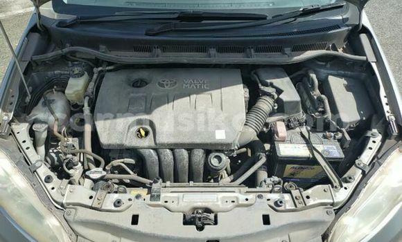 Nunua Ilio tumika Toyota Wish Fedha Gari ndani ya Beitbridge nchini Matabeleland Kusini Nunua Ilio tumika Toyota Wish Fedha Gari ndani ya Beitbridge nchini Matabeleland Kusini