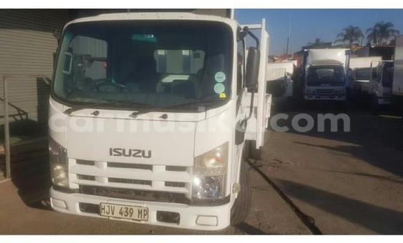 Tenga Tsaru Isuzu Elf Chena Rori in Beitbridge in Matabeleland South Tenga Tsaru Isuzu Elf Chena Rori in Beitbridge in Matabeleland South