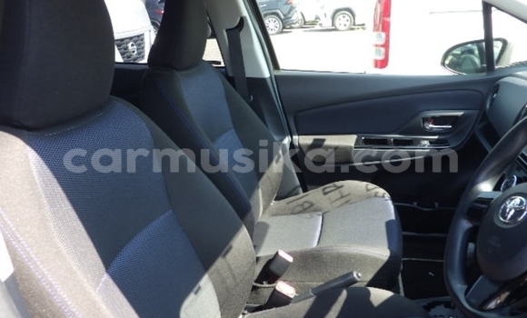 Tenga Tsaru Toyota Vitz Nhema Mota in Beitbridge in Matabeleland South Tenga Tsaru Toyota Vitz Nhema Mota in Beitbridge in Matabeleland South