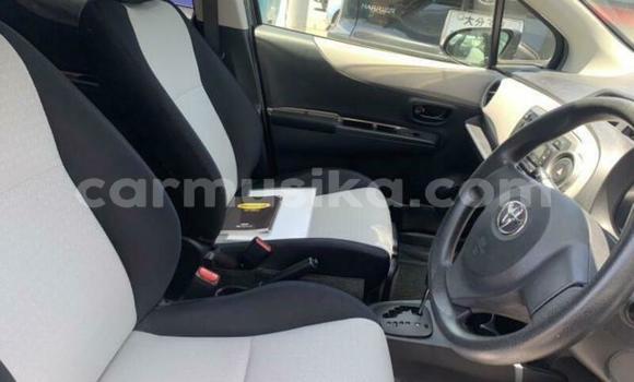 Buy Used Toyota Vitz Silver Car in Beitbridge in Matabeleland South Buy Used Toyota Vitz Silver Car in Beitbridge in Matabeleland South