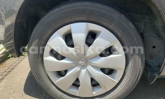 Buy Used Toyota Vitz Silver Car in Beitbridge in Matabeleland South Buy Used Toyota Vitz Silver Car in Beitbridge in Matabeleland South