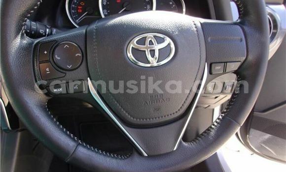 Acheter Occasion Voiture Toyota Auris Gris à Beitbridge, Matabeleland South Acheter Occasion Voiture Toyota Auris Gris à Beitbridge, Matabeleland South