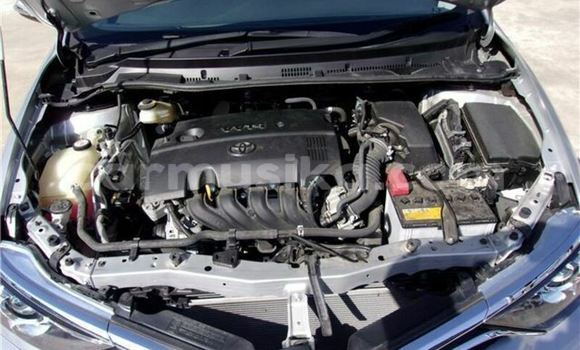 Acheter Occasion Voiture Toyota Auris Gris à Beitbridge, Matabeleland South Acheter Occasion Voiture Toyota Auris Gris à Beitbridge, Matabeleland South