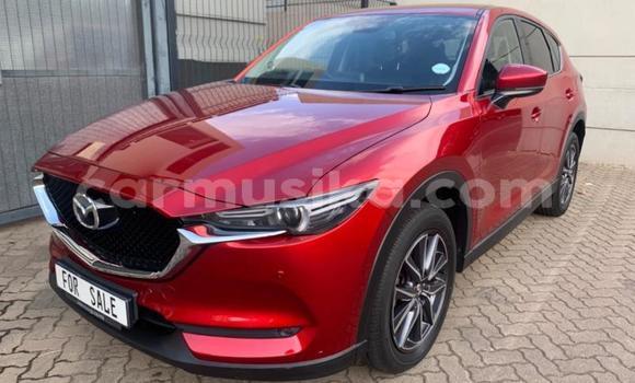 Buy Used Mazda CX-5 Red Car in Beitbridge in Matabeleland South