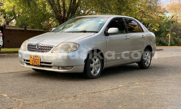 Nunua Ilio tumika Toyota Corolla Nyingine Gari ndani ya Harare nchini Harare Nunua Ilio tumika Toyota Corolla Nyingine Gari ndani ya Harare nchini Harare