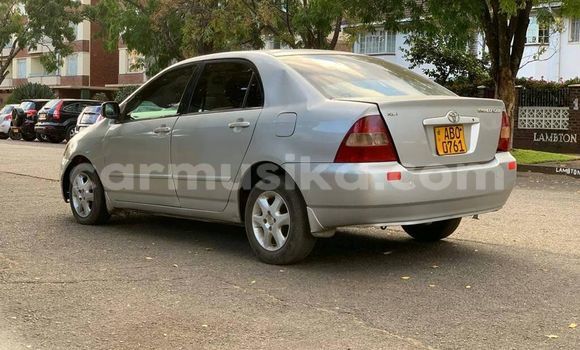 Nunua Ilio tumika Toyota Corolla Nyingine Gari ndani ya Harare nchini Harare Nunua Ilio tumika Toyota Corolla Nyingine Gari ndani ya Harare nchini Harare
