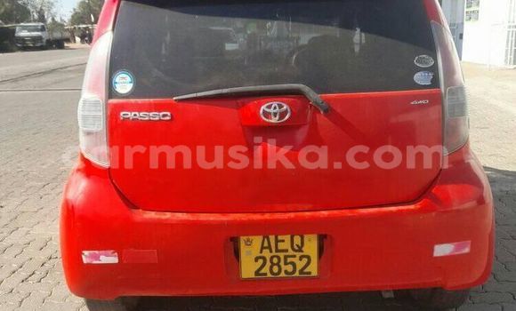 Nunua Ilio tumika Toyota Passo Nyekundu Gari ndani ya Harare nchini Harare Nunua Ilio tumika Toyota Passo Nyekundu Gari ndani ya Harare nchini Harare