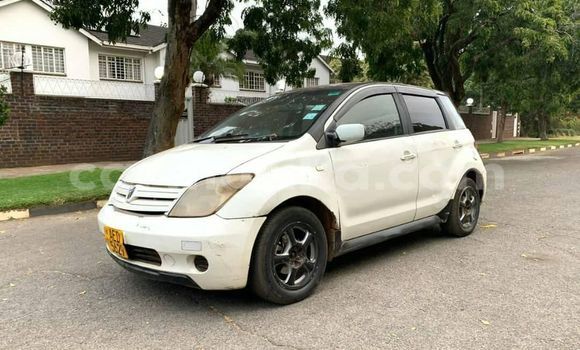 Buy Used Toyota IST White Car in Harare in Harare