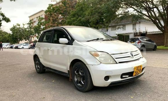 Nunua Ilio tumika Toyota IST Nyeupe Gari ndani ya Harare nchini Harare Nunua Ilio tumika Toyota IST Nyeupe Gari ndani ya Harare nchini Harare