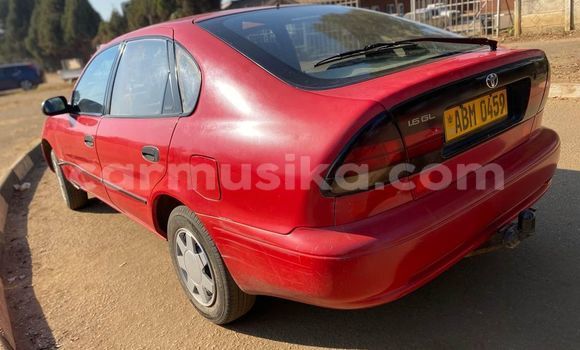 Buy Used Toyota Corolla Red Car in Harare in Harare Buy Used Toyota Corolla Red Car in Harare in Harare