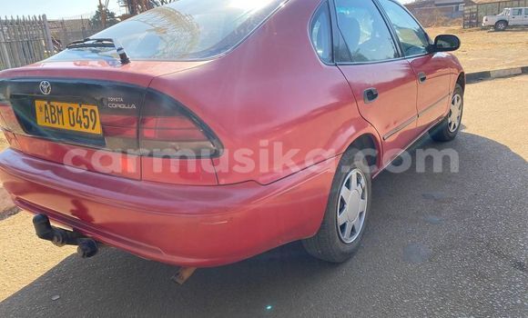 Buy Used Toyota Corolla Red Car in Harare in Harare Buy Used Toyota Corolla Red Car in Harare in Harare