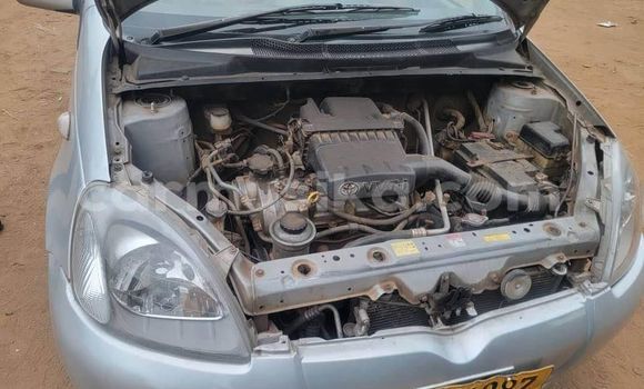Buy Used Toyota Vitz Other Car in Harare in Harare Buy Used Toyota Vitz Other Car in Harare in Harare