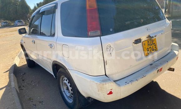 Buy Used Honda CR–V White Car in Harare in Harare Buy Used Honda CR–V White Car in Harare in Harare