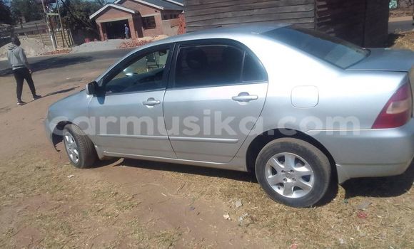 Acheter Occasion Voiture Toyota Ipsum Blanc à Harare, Harare Acheter Occasion Voiture Toyota Ipsum Blanc à Harare, Harare