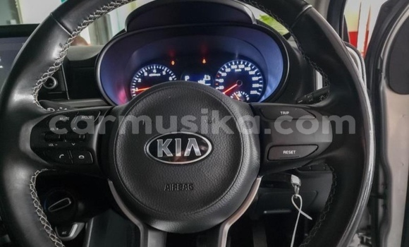 Acheter Occasion Voiture Kia Picanto Gris à Beitbridge, Matabeleland South Acheter Occasion Voiture Kia Picanto Gris à Beitbridge, Matabeleland South