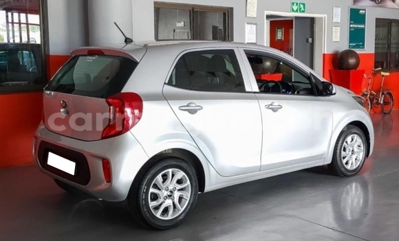 Acheter Occasion Voiture Kia Picanto Gris à Beitbridge, Matabeleland South Acheter Occasion Voiture Kia Picanto Gris à Beitbridge, Matabeleland South