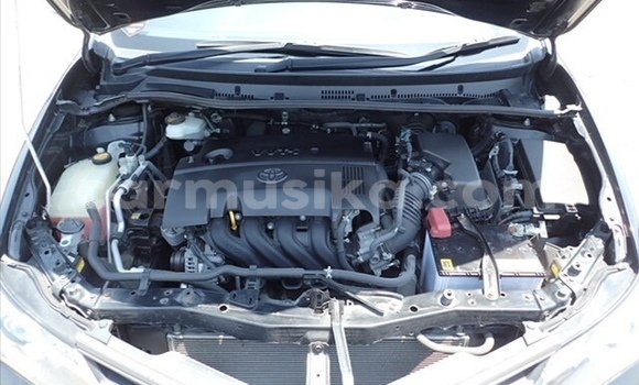 Tenga Tsaru Toyota Auris Nhema Mota in Beitbridge in Matabeleland South Tenga Tsaru Toyota Auris Nhema Mota in Beitbridge in Matabeleland South