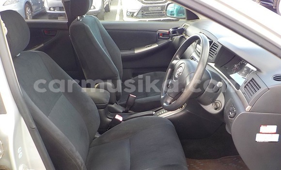 Buy Used Toyota Runx Silver Car in Beitbridge in Matabeleland South Buy Used Toyota Runx Silver Car in Beitbridge in Matabeleland South