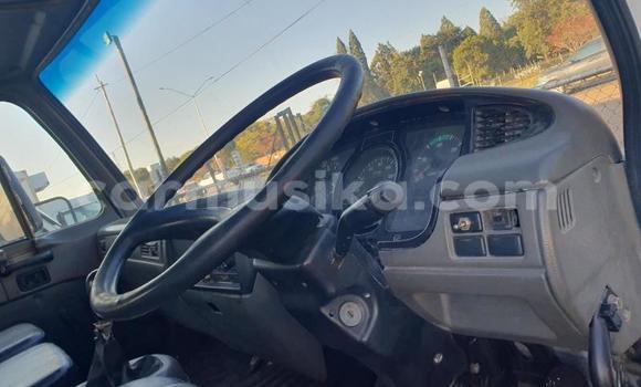 Buy Used Nissan UD White Truck in Beitbridge in Matabeleland South Buy Used Nissan UD White Truck in Beitbridge in Matabeleland South