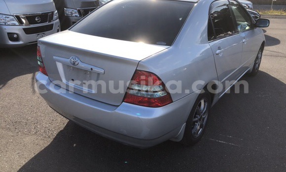 Buy Used Toyota Corolla Silver Car in Beitbridge in Matabeleland South Buy Used Toyota Corolla Silver Car in Beitbridge in Matabeleland South