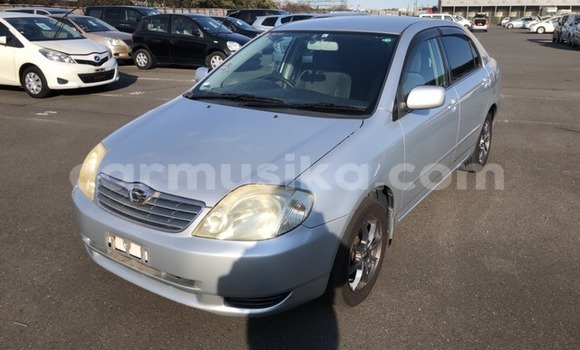 Buy Used Toyota Corolla Silver Car in Beitbridge in Matabeleland South Buy Used Toyota Corolla Silver Car in Beitbridge in Matabeleland South