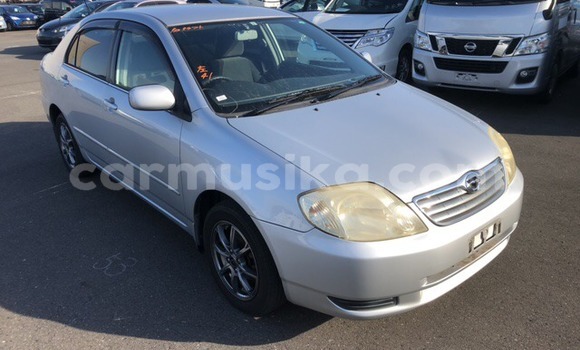 Buy Used Toyota Corolla Silver Car in Beitbridge in Matabeleland South Buy Used Toyota Corolla Silver Car in Beitbridge in Matabeleland South