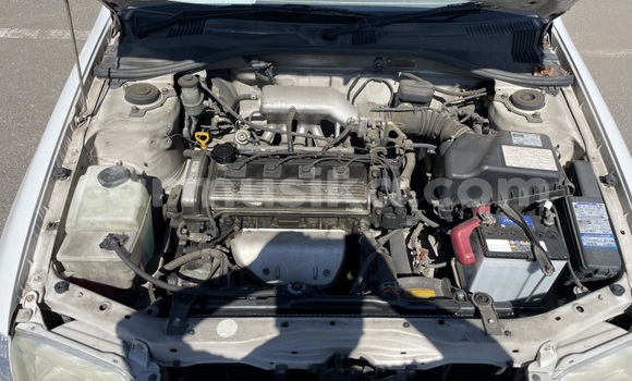 Buy Used Toyota Carina White Car in Beitbridge in Matabeleland South Buy Used Toyota Carina White Car in Beitbridge in Matabeleland South