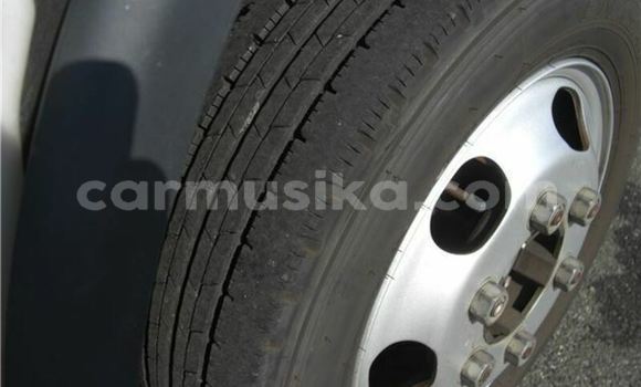 Tenga Tsaru Toyota Dyna Sirivha Rori in Beitbridge in Matabeleland South Tenga Tsaru Toyota Dyna Sirivha Rori in Beitbridge in Matabeleland South