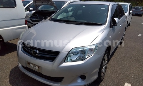 Acheter Occasion Voiture Toyota Corolla Gris à Beitbridge, Matabeleland South Acheter Occasion Voiture Toyota Corolla Gris à Beitbridge, Matabeleland South