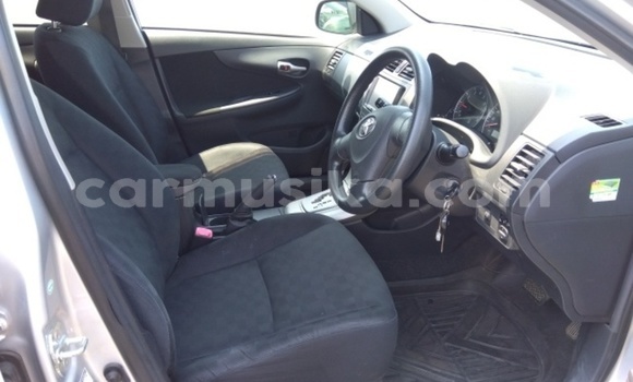 Acheter Occasion Voiture Toyota Corolla Gris à Beitbridge, Matabeleland South Acheter Occasion Voiture Toyota Corolla Gris à Beitbridge, Matabeleland South