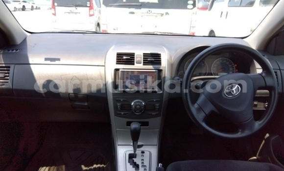 Acheter Occasion Voiture Toyota Corolla Gris à Beitbridge, Matabeleland South Acheter Occasion Voiture Toyota Corolla Gris à Beitbridge, Matabeleland South