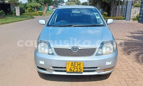 Tenga Tsaru Toyota Runx Zvimwe Mota in Harare in Harare