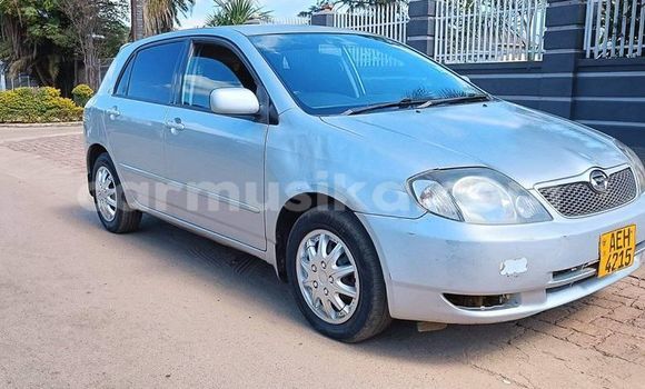 Tenga Tsaru Toyota Runx Zvimwe Mota in Harare in Harare Tenga Tsaru Toyota Runx Zvimwe Mota in Harare in Harare