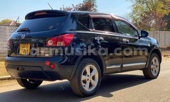 Tenga Tsaru Nissan Dualis Nhema Mota in Harare in Harare Tenga Tsaru Nissan Dualis Nhema Mota in Harare in Harare