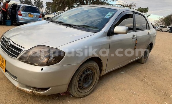 Tenga Tsaru Toyota Corolla Zvimwe Mota in Harare in Harare Tenga Tsaru Toyota Corolla Zvimwe Mota in Harare in Harare