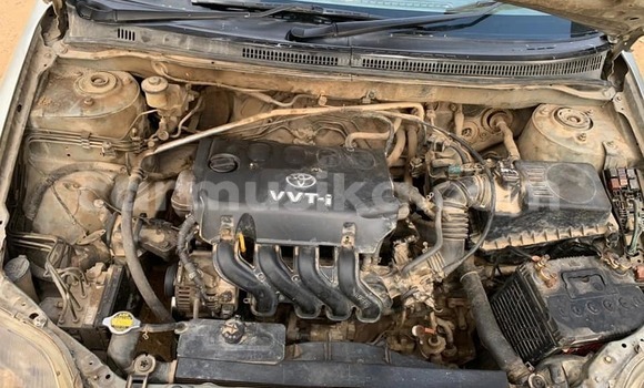 Tenga Tsaru Toyota Corolla Zvimwe Mota in Harare in Harare Tenga Tsaru Toyota Corolla Zvimwe Mota in Harare in Harare