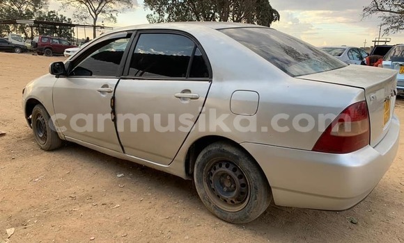 Tenga Tsaru Toyota Corolla Zvimwe Mota in Harare in Harare Tenga Tsaru Toyota Corolla Zvimwe Mota in Harare in Harare