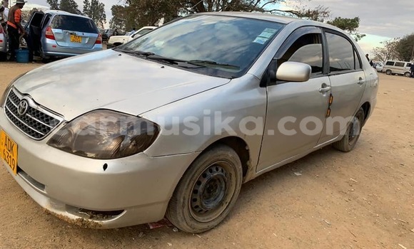 Tenga Tsaru Toyota Corolla Zvimwe Mota in Harare in Harare Tenga Tsaru Toyota Corolla Zvimwe Mota in Harare in Harare