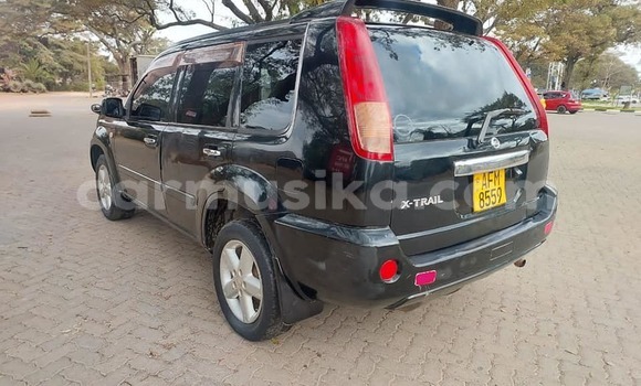 Tenga Tsaru Nissan X–Trail Nhema Mota in Harare in Harare Tenga Tsaru Nissan X–Trail Nhema Mota in Harare in Harare