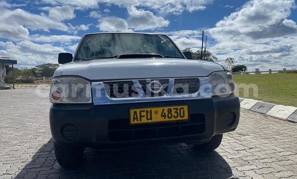Tenga Tsaru Nissan NP 300 Chena Mota in Harare in Harare Tenga Tsaru Nissan NP 300 Chena Mota in Harare in Harare