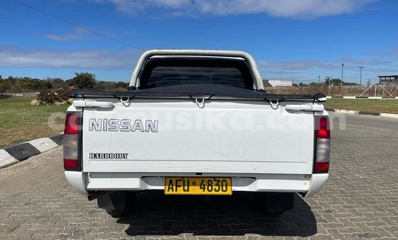 Tenga Tsaru Nissan NP 300 Chena Mota in Harare in Harare Tenga Tsaru Nissan NP 300 Chena Mota in Harare in Harare