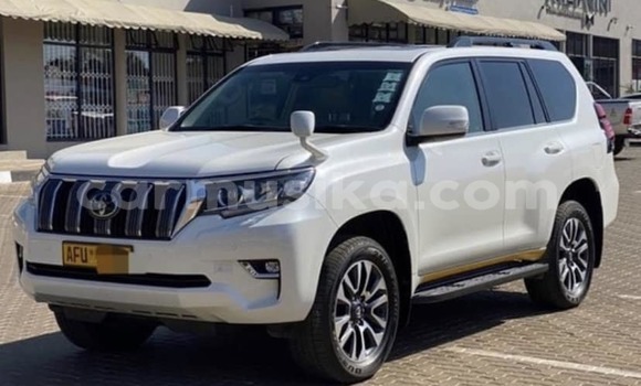 Buy Used Toyota Land Cruiser Prado White Car in Harare in Harare