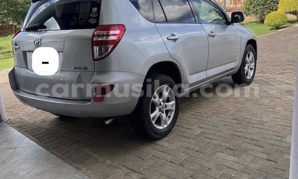 Buy Used Toyota RAV4 Other Car in Harare in Harare